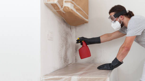 Professional Hvac And Air Duct Mold Remediation technician working in Lindenhurst, NY